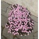 6 - Kristályvirág - Delosperma Beaufort West-kicsi rózsaszín